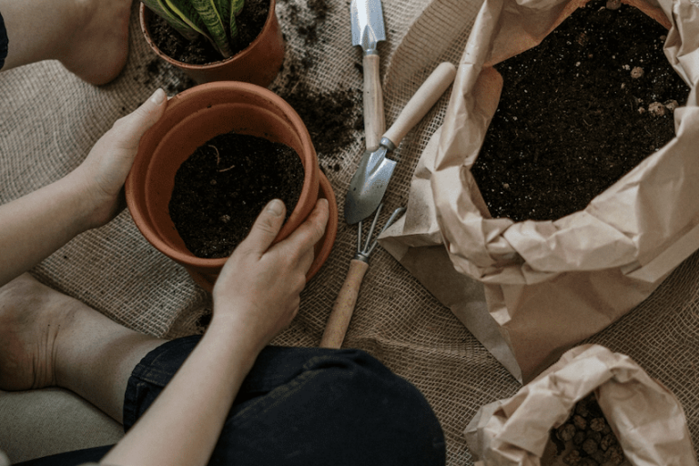 Person Holding Brown Plastic Pot